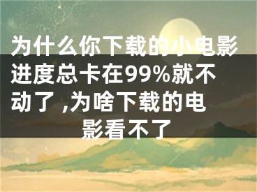 為什么你下載的小電影進(jìn)度總卡在99%就不動(dòng)了 ,為啥下載的電影看不了