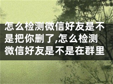 怎么檢測微信好友是不是把你刪了,怎么檢測微信好友是不是在群里