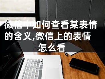 微信中如何查看某表情的含義,微信上的表情怎么看