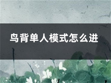 鳥背單人模式怎么進(jìn)