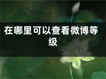 在哪里可以查看微博等級