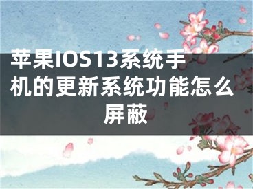 蘋果IOS13系統(tǒng)手機的更新系統(tǒng)功能怎么屏蔽