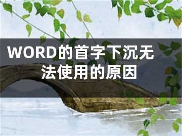 WORD的首字下沉無法使用的原因