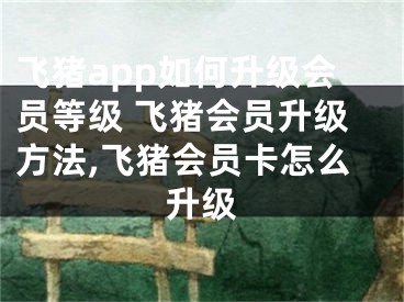 飛豬app如何升級(jí)會(huì)員等級(jí) 飛豬會(huì)員升級(jí)方法,飛豬會(huì)員卡怎么升級(jí)