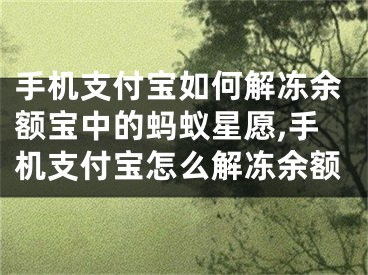 手機(jī)支付寶如何解凍余額寶中的螞蟻星愿,手機(jī)支付寶怎么解凍余額