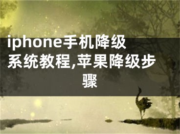 iphone手機(jī)降級(jí)系統(tǒng)教程,蘋(píng)果降級(jí)步驟