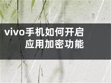 vivo手機如何開啟應(yīng)用加密功能