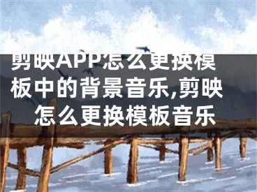 剪映APP怎么更換模板中的背景音樂,剪映怎么更換模板音樂