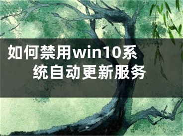 如何禁用win10系統(tǒng)自動更新服務