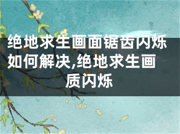 絕地求生畫面鋸齒閃爍如何解決,絕地求生畫質閃爍