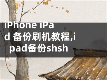 iPhone iPad 備份刷機教程,ipad備份shsh