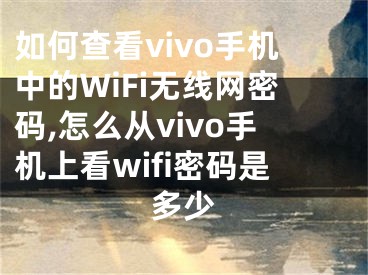 如何查看vivo手機(jī)中的WiFi無(wú)線網(wǎng)密碼,怎么從vivo手機(jī)上看wifi密碼是多少