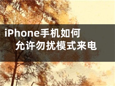 iPhone手機(jī)如何允許勿擾模式來(lái)電