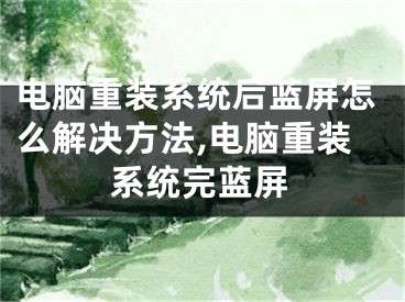 電腦重裝系統(tǒng)后藍(lán)屏怎么解決方法,電腦重裝系統(tǒng)完藍(lán)屏