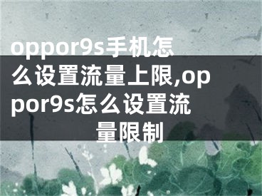 oppor9s手機(jī)怎么設(shè)置流量上限,oppor9s怎么設(shè)置流量限制