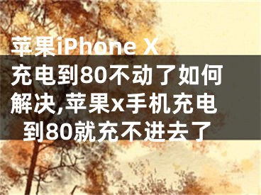 蘋果iPhone X充電到80不動了如何解決,蘋果x手機(jī)充電到80就充不進(jìn)去了