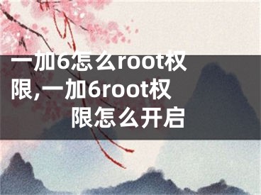 一加6怎么root權(quán)限,一加6root權(quán)限怎么開啟