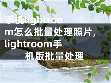 手機(jī)lightroom怎么批量處理照片,lightroom手機(jī)版批量處理