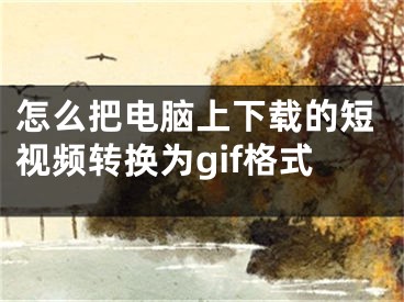 怎么把電腦上下載的短視頻轉(zhuǎn)換為gif格式