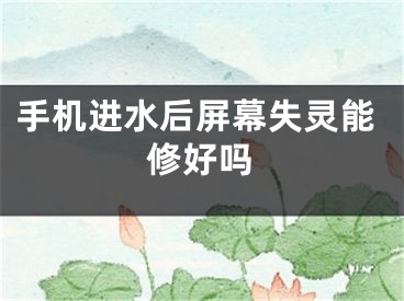 手機進水后屏幕失靈能修好嗎