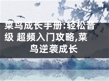 菜鳥成長手冊:輕松晉級 超頻入門攻略,菜鳥逆襲成長