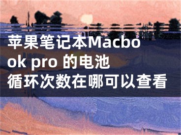 蘋果筆記本Macbook pro 的電池循環(huán)次數(shù)在哪可以查看