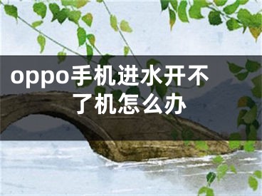 oppo手機進(jìn)水開不了機怎么辦