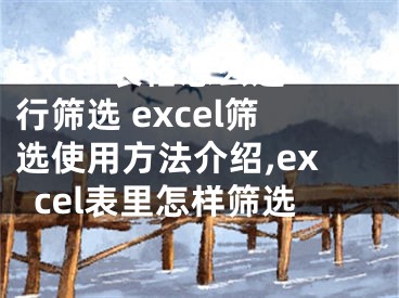 excel表格怎么進(jìn)行篩選 excel篩選使用方法介紹,excel表里怎樣篩選