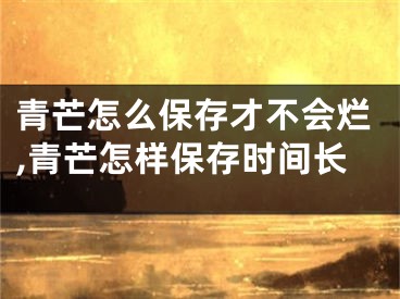 青芒怎么保存才不會爛,青芒怎樣保存時間長