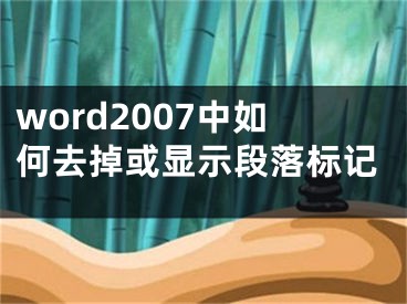 word2007中如何去掉或顯示段落標(biāo)記