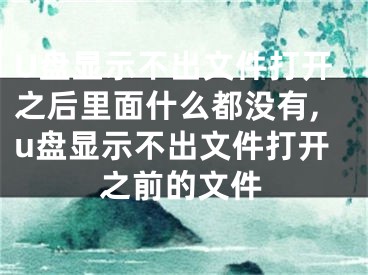 U盤顯示不出文件打開之后里面什么都沒有,u盤顯示不出文件打開之前的文件