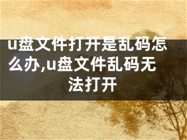 u盤文件打開是亂碼怎么辦,u盤文件亂碼無法打開