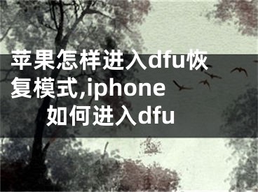 蘋果怎樣進入dfu恢復(fù)模式,iphone如何進入dfu