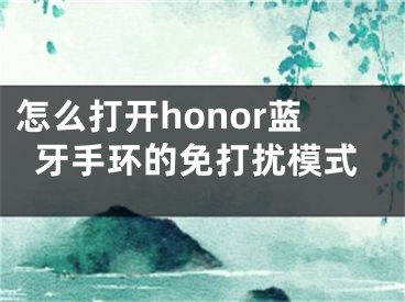 怎么打開honor藍牙手環(huán)的免打擾模式