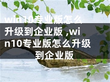 win10專業(yè)版怎么升級到企業(yè)版 ,win10專業(yè)版怎么升級到企業(yè)版