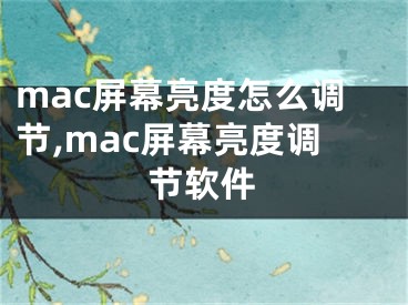 mac屏幕亮度怎么調節(jié),mac屏幕亮度調節(jié)軟件