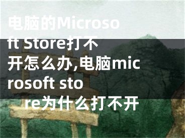 電腦的Microsoft Store打不開怎么辦,電腦microsoft store為什么打不開