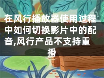 在風行播放器使用過程中如何切換影片中的配音,風行產(chǎn)品不支持重播