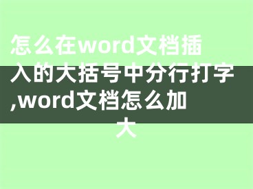 怎么在word文檔插入的大括號(hào)中分行打字,word文檔怎么加大