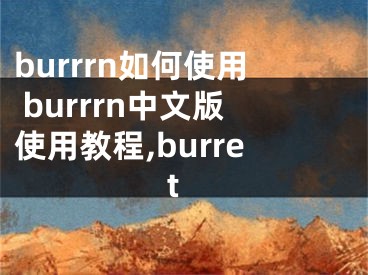 burrrn如何使用 burrrn中文版使用教程,burret