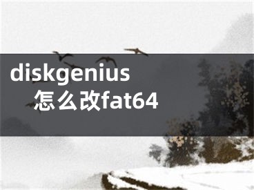 diskgenius怎么改fat64