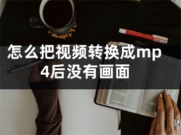 怎么把視頻轉(zhuǎn)換成mp4后沒有畫面