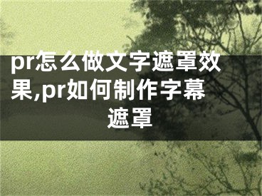 pr怎么做文字遮罩效果,pr如何制作字幕遮罩