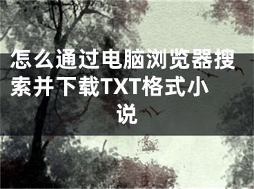 怎么通過電腦瀏覽器搜索并下載TXT格式小說