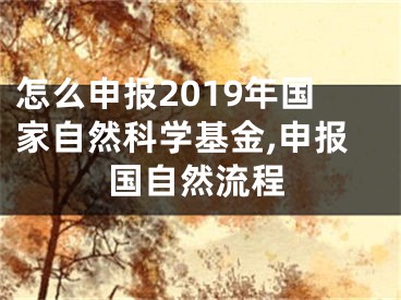 怎么申報(bào)2019年國(guó)家自然科學(xué)基金,申報(bào)國(guó)自然流程