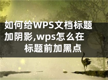 如何給WPS文檔標題加陰影,wps怎么在標題前加黑點