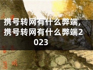 攜號轉(zhuǎn)網(wǎng)有什么弊端,攜號轉(zhuǎn)網(wǎng)有什么弊端2023