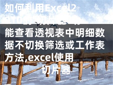 如何利用Excel2010的"切片器"功能查看透視表中明細(xì)數(shù)據(jù)不切換篩選或工作表方法,excel使用切片器