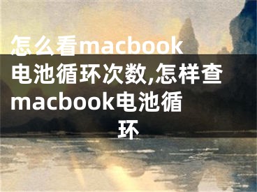 怎么看macbook電池循環(huán)次數(shù),怎樣查macbook電池循環(huán)