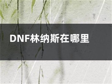 DNF林納斯在哪里